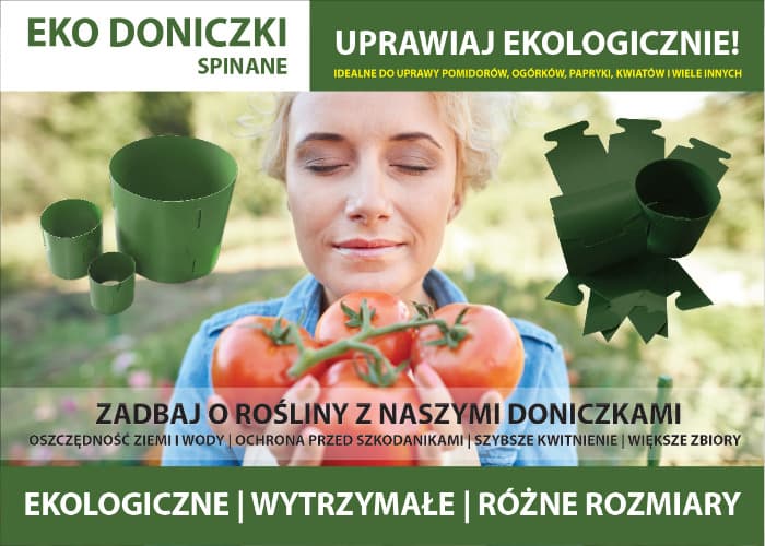 Cylindry do pomidorów – bestseller 2024
