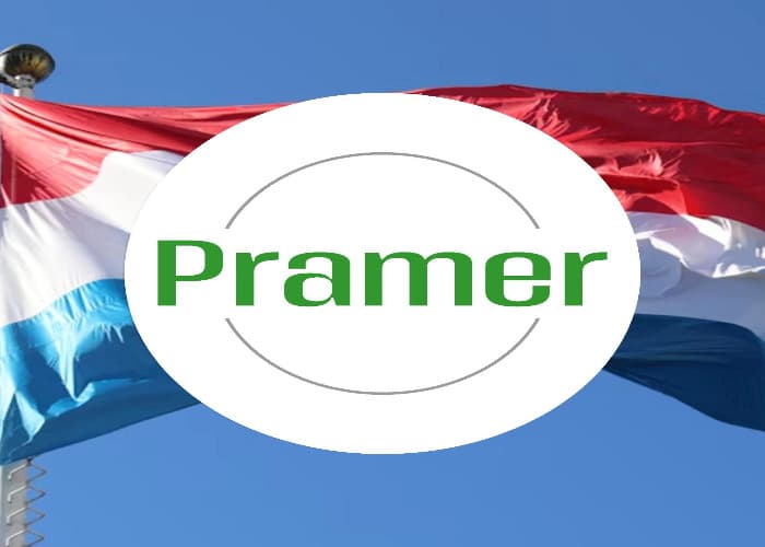 Pracownik produkcji palet - bez znajomości języka
