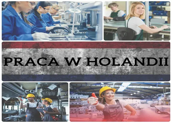 Order Picker z doświadczeniem na wózku widłowym przednim HOLANDIA