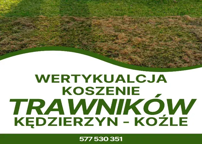  Wertykulacja i koszenie trawy - Kędzierzyn-Koźle 