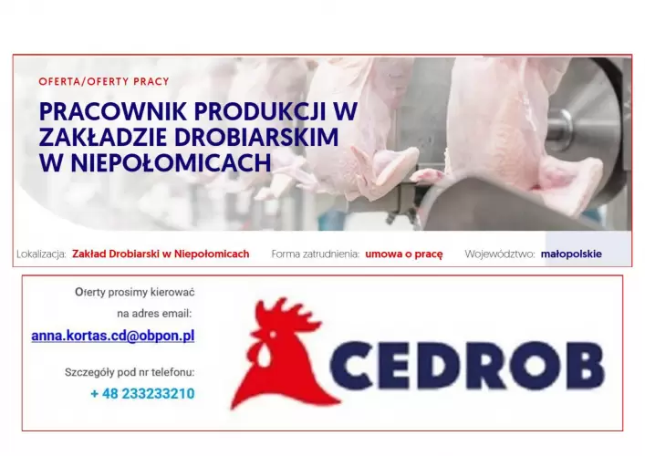 Pracownik produkcji w Zakładzie Drobiarskim w Niepołomicach