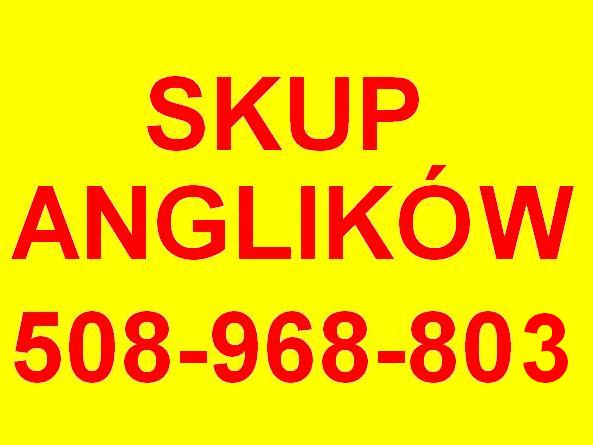 Skup samochodów z Anglii skup anglików, uszkodzonych i rozbitych 508-968-803