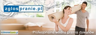 Pranie wodne dywanów