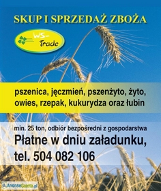 Skup zboża 