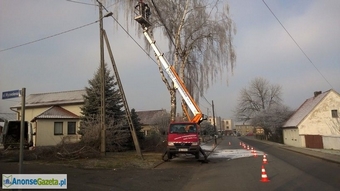 Zwyżka, podnośnik koszowy, wycinka drzew, montaż oświetlenia