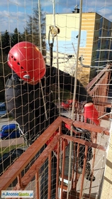 Montaż siatek zabezpieczających balkon przed wypadnięciem kota