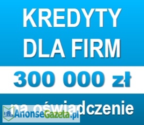 Nowość! Kredyt 300 000 zł na firmę! Na oświadczenie!