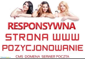 Strona internetowa -Tworzenie stron www DLA FIRM +host +domena +FB +FV 