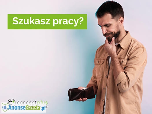  Pracownik (k/m) ds. wprowadzania danych – wsparcie działu HR