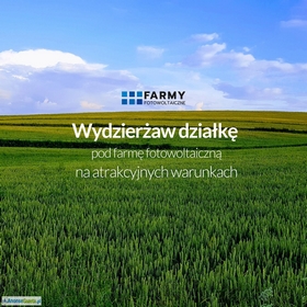 Wydzierżawię działkę pod farmę fotowoltaiczną