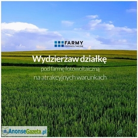 Wydzierżawię działkę pod farmę fotowoltaiczną