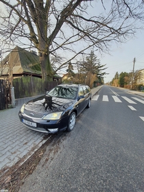 Ford Mondeo 2.5 V6 Ghia Executive LPG