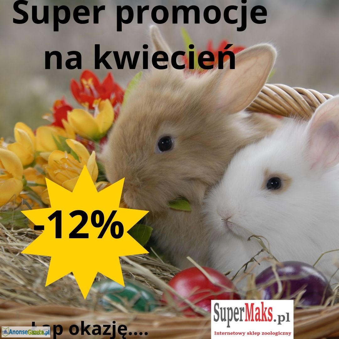 Promocje kwietniowe, sklep zoologiczny