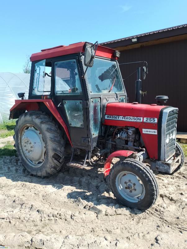 Ciągnik rolniczy Massey Ferguson MF 255