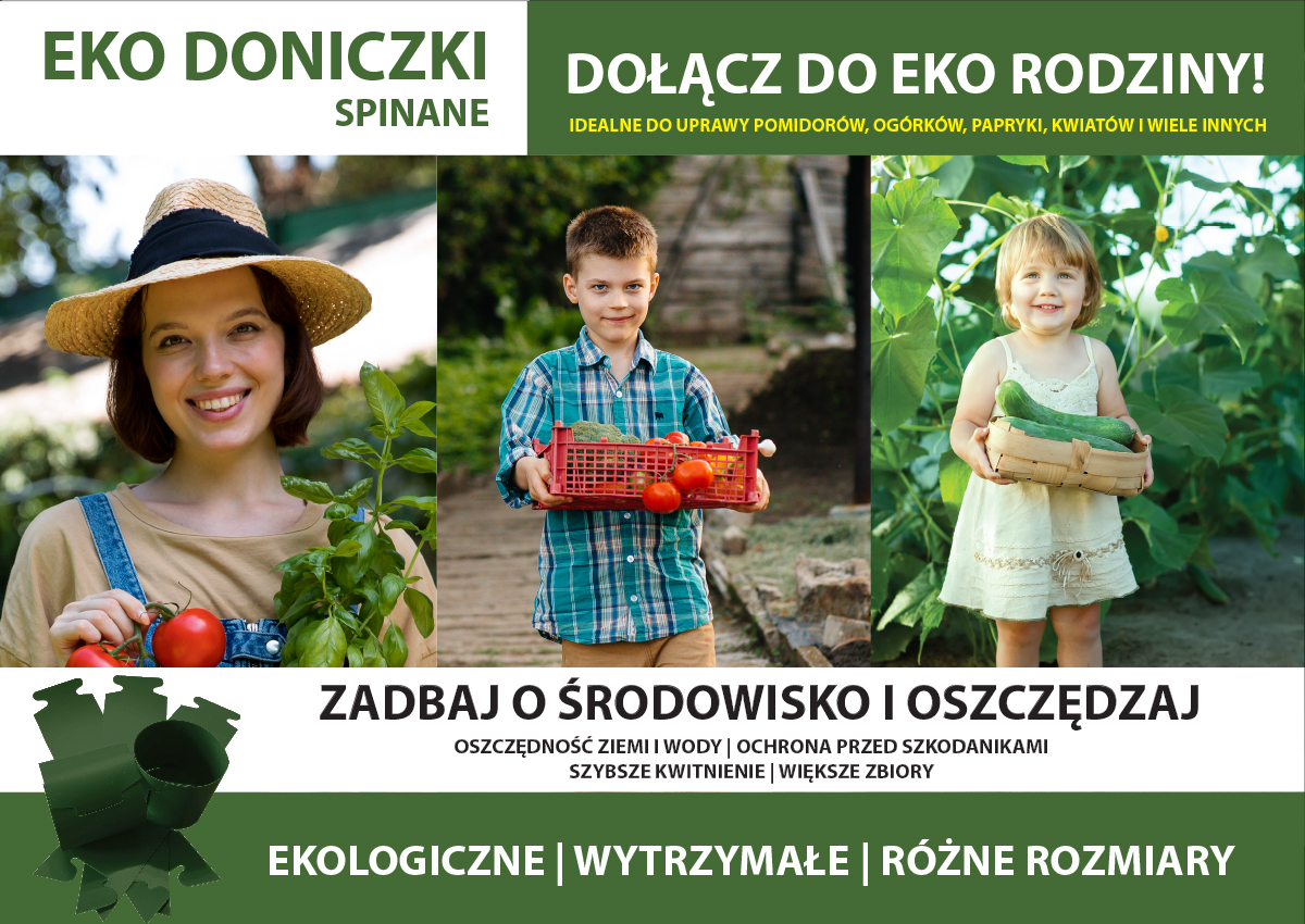 Osłonki do rozsady – Uprawa pomidorów