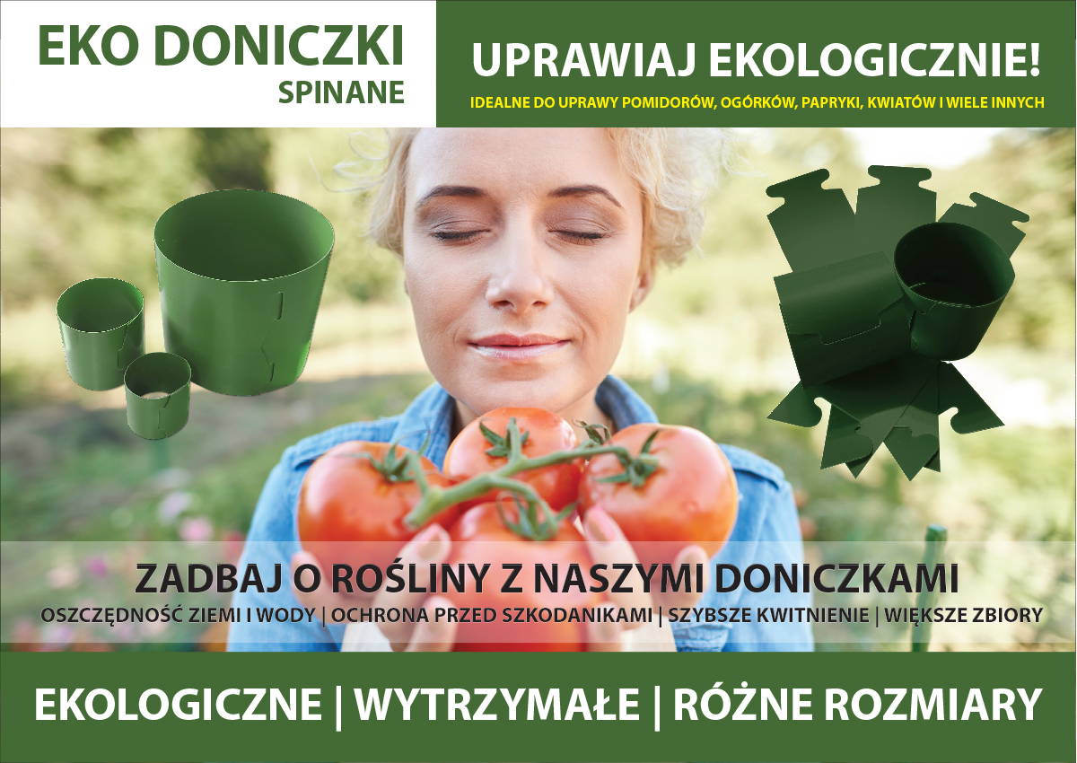 Cylindry do pomidorów – bestseller 2024