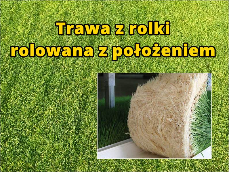 Trawa z rolki, rolowana z położeniem