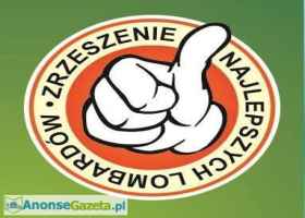 Lombard Skup/sprzedaż złota