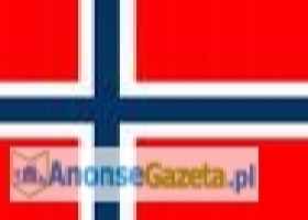 Nauka języka norweskiego - tylko 15zł/h!