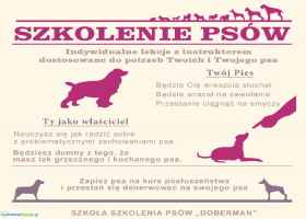 Szkolenie psów Lubin - Szkoła Dla Psów Lubin