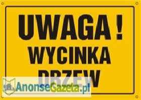 Wycinka i podcinka drzew, usługi zwyzką.