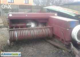 witam posiadam do sprzedania prase polskie z 224 z przeciwwaga