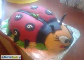 Artystyczne torty w Lipnie tylko na fajnetorty.smacznie.pl 