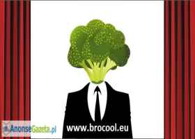Roznoszenie ulotek Słupsk - Brocool Agencja Reklamowa