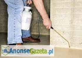 DDD Robak - Dezynsekcja Mińsk Mazowiecki