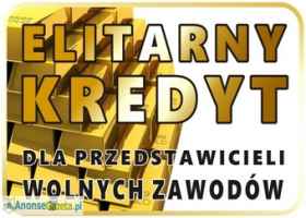 Korzystne kredyty dla wolnych zawodów. Do 200 tys. zł