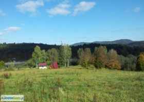 Olchowiec nad Jeziorem Solińskim (234,238)