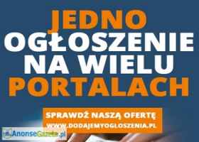 Jedno ogłoszenie na wielu portalach - Szybka reklama w internecie