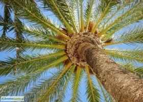 Najlepsze wakacje pod słońcem – Costa Blanca, to California Europy…