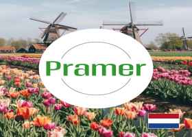 Operator reach truck na magazynie Welkoop (Apeldoorn)