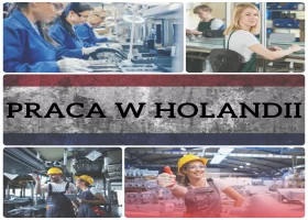 Order Picker z doświadczeniem na wózku widłowym przednim HOLANDIA