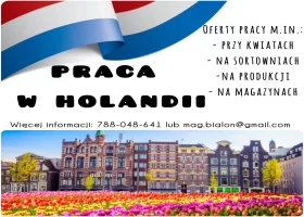 PRACA W HOLANDII - Sortowanie owoców na hali od 17.02 !!!