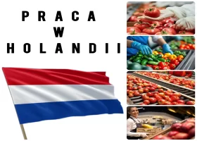Sortowanie owoców/warzyw na hali w Venlo - Holandia - Praca dla kobiet