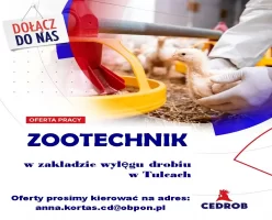 Zootechnik w zakładzie wylęgu drobiu w Tulcach