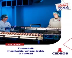 Zootechnik w zakładzie wylęgu drobiu w Tulcach