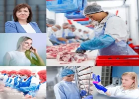 Pracownik Produkcji - Dział Przyjęcia Żywca Drobiowego