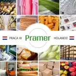 Pracownik produkcji sałatek - bez języka - praca w Holandii