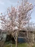 Sprzedam