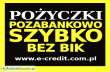 Pożyczki bez BIK.Nowa firma na rynku! 5 000zł na dowód