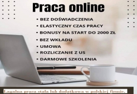 Anons Praca stała lub dodatkowa zdalna, w domu, przez internet