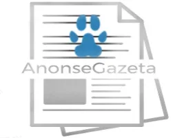 Hodowla BorderGold Border Collie ZKwP FCI